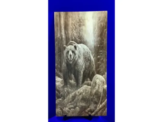 Alaskan Bear