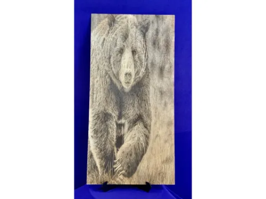 Alaskan Bear Hunting