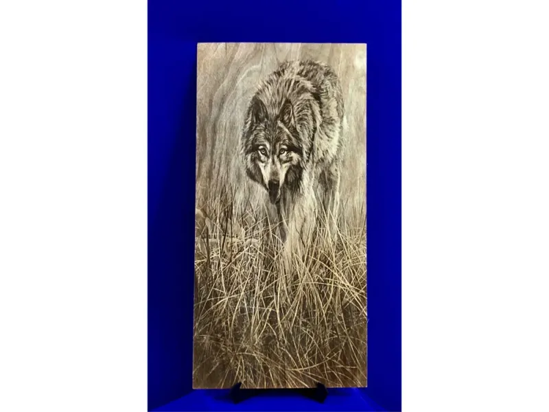 Lone Alaskan Wolf