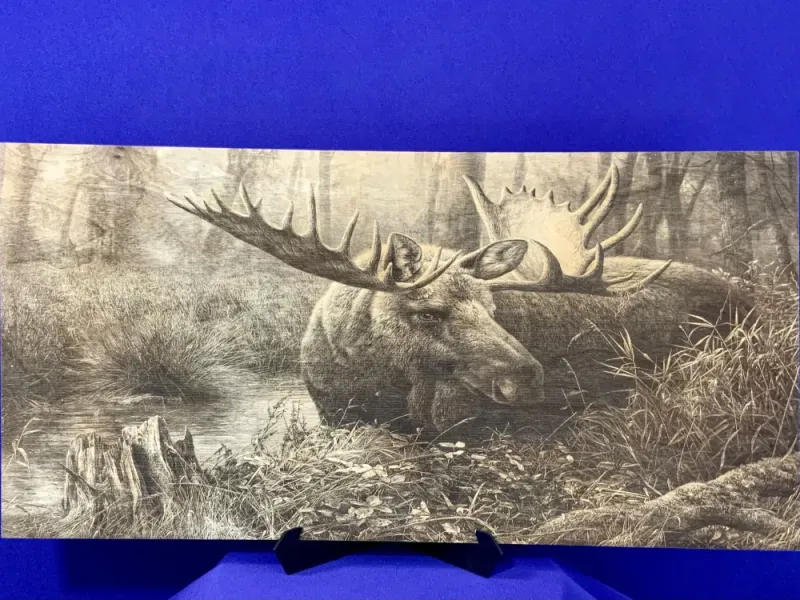 Alaskan Bull Moose in the Woods