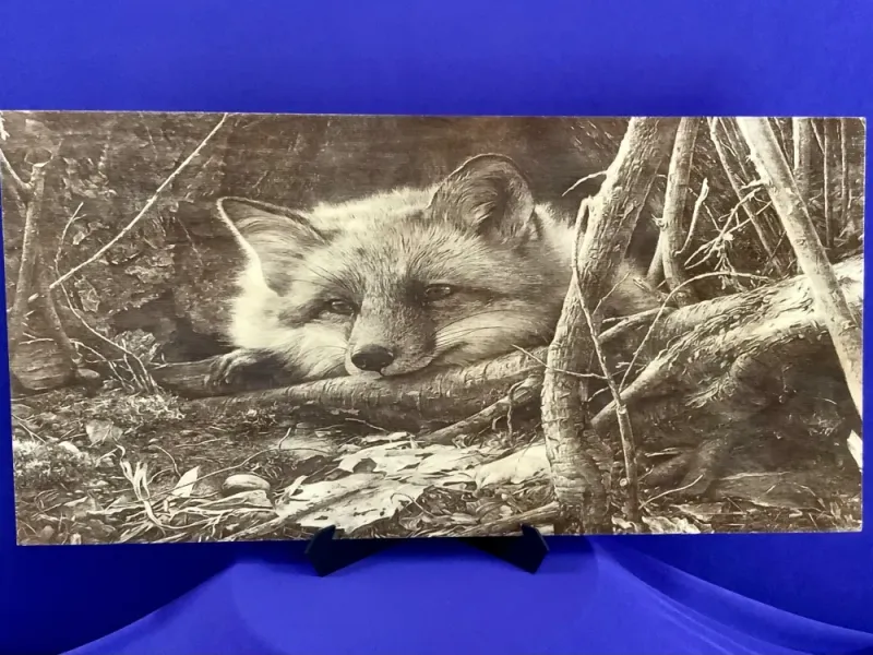 Alaskan Fox in the Forest