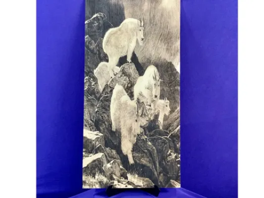 Mountain Goats
