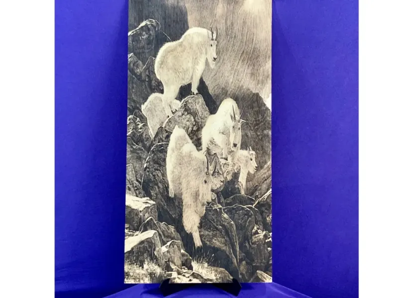 Mountain Goats