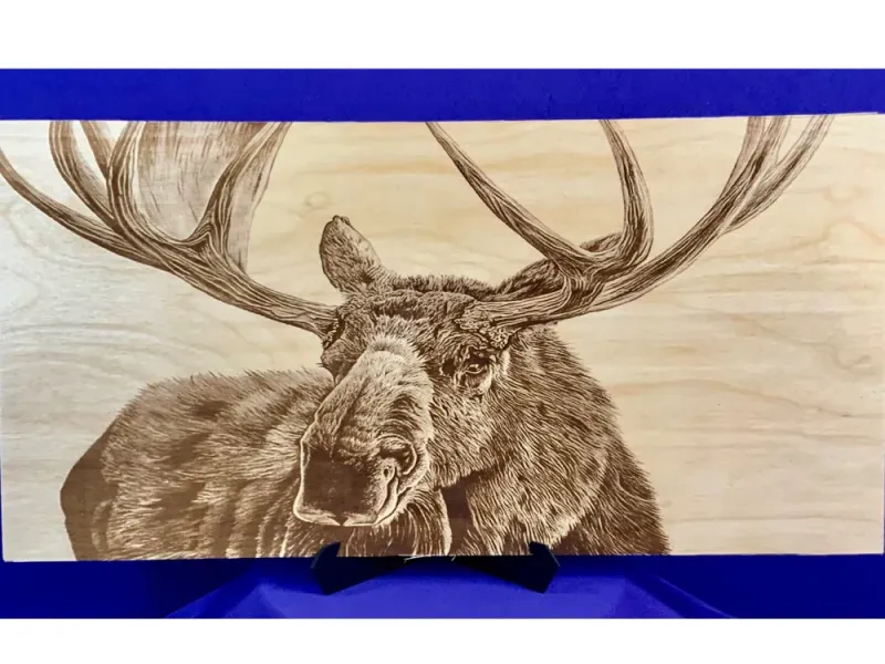 Bull Moose