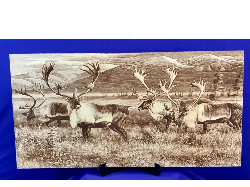 Caribou Herd Roaming the Tundra