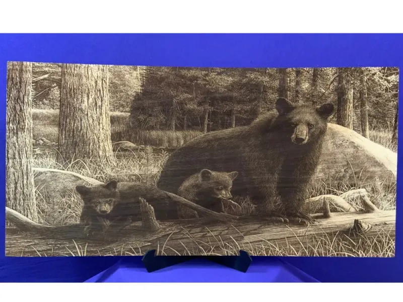 Bear and Cubs in the Forest