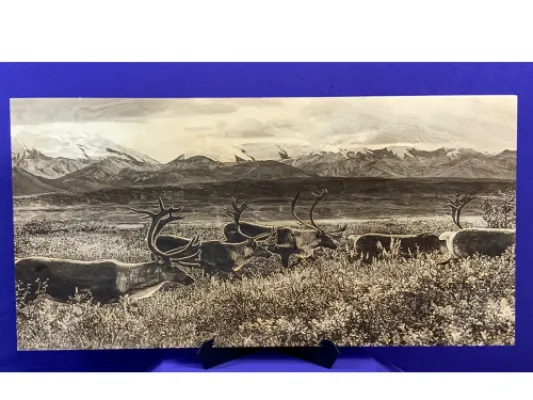 Caribou Herd Traveling to Find Food