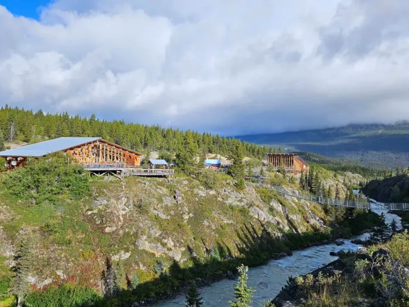 Yukon Suspension Bridge, Pet the Puppies, and White Pass Summit TRIPLE Combo
