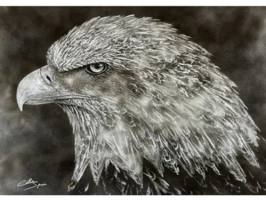 "Eagle Eye" Eagle Print.  Candle Soot on Paper