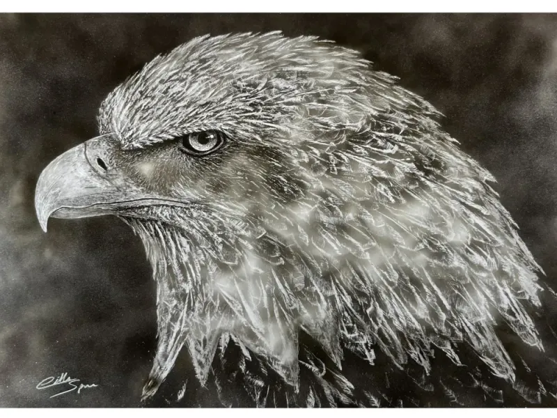 "Eagle Eye" Eagle Print.  Candle Soot on Paper