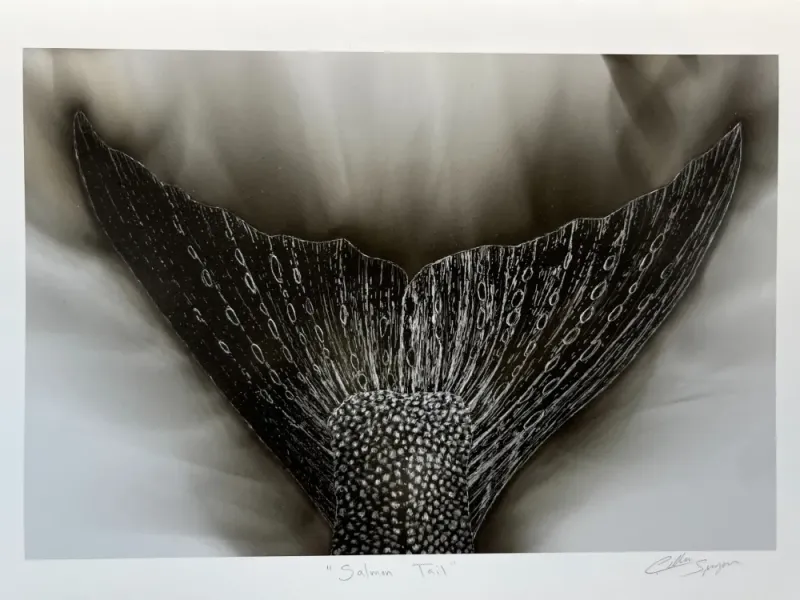 "Salmon Tail"  Print.  Candle Soot on Paper