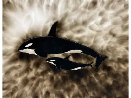 "Matriarchy"  Orca Print.  Candle Soot on Paper