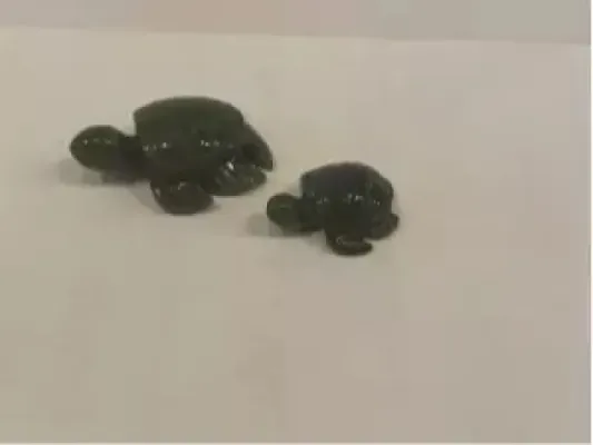 Jade Turtle