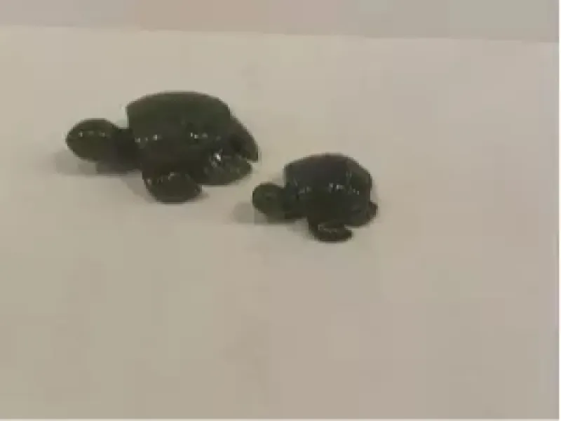 Jade Turtle