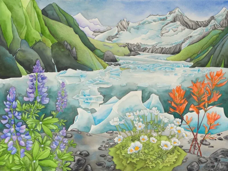 Glacier Bay Wildflowers, Alaska