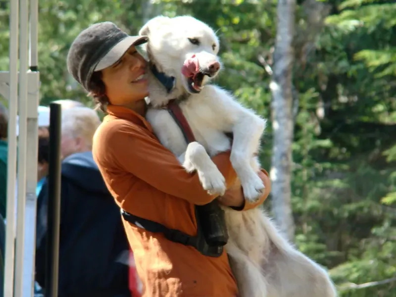 Ultimate Sled Dog Experience *Holland America | Princess Cruiselines