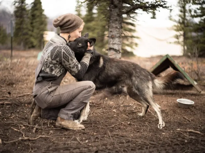 Summer Sled Dog Ride & Kennel Tour
