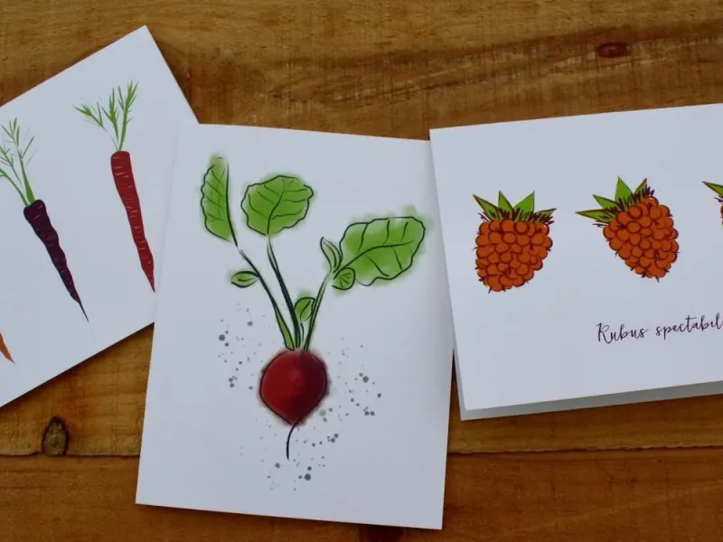 Veggie Mixed 3-Pack Card Set
