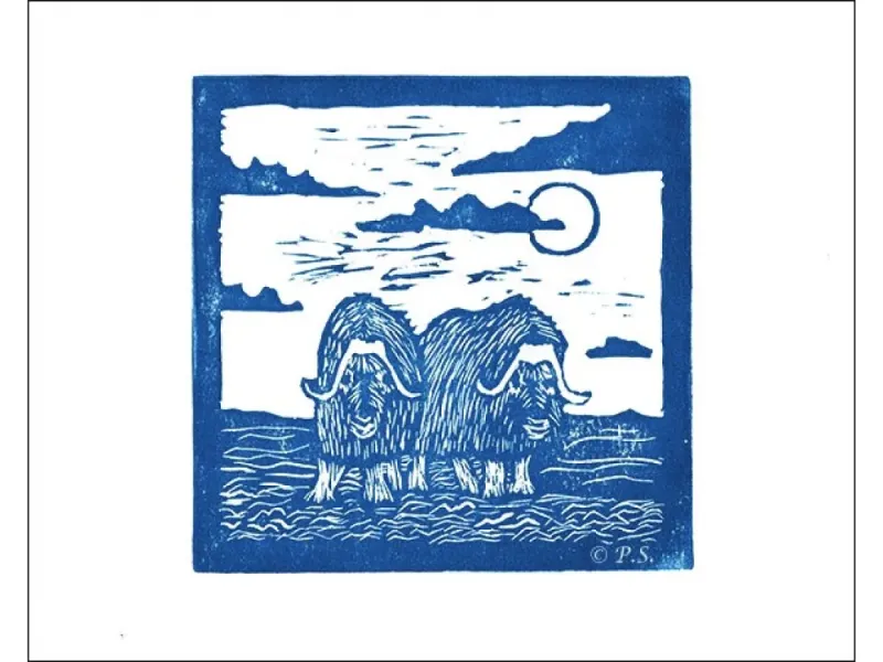 Muskox Hand Pressed Relief Prints in Black or Navy