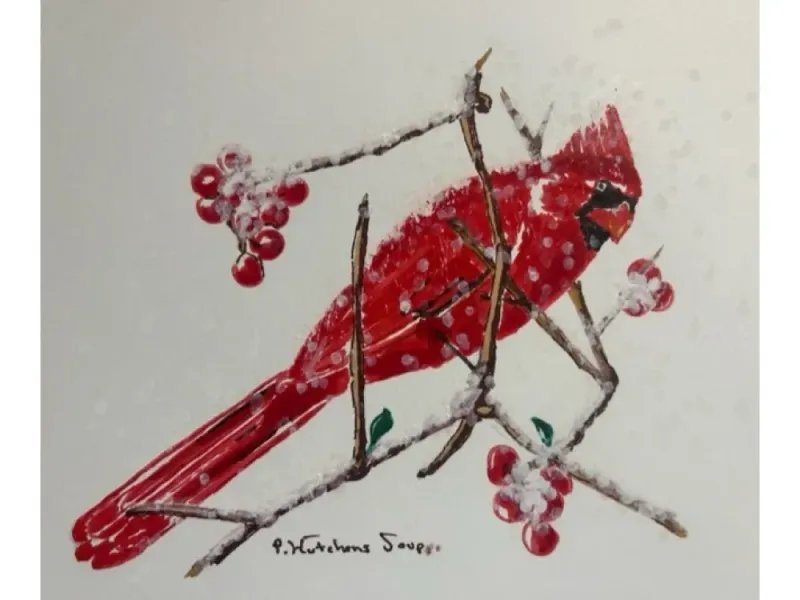 Bird Cards,  Cardinals