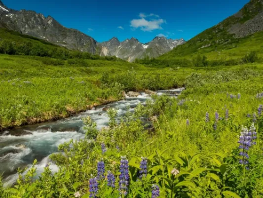 Full Day Group Private Tour