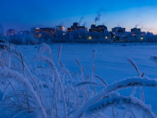 Anchorage Winter Wonderland Tour