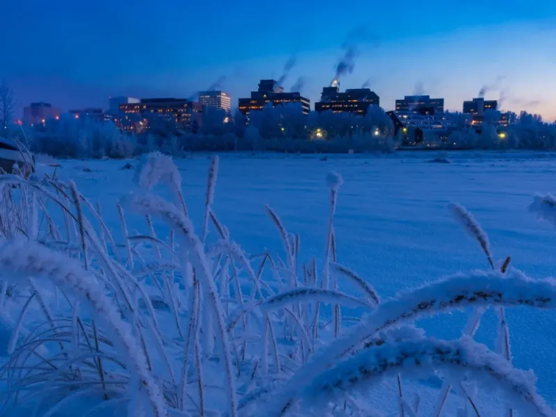 Anchorage Winter Wonderland Tour