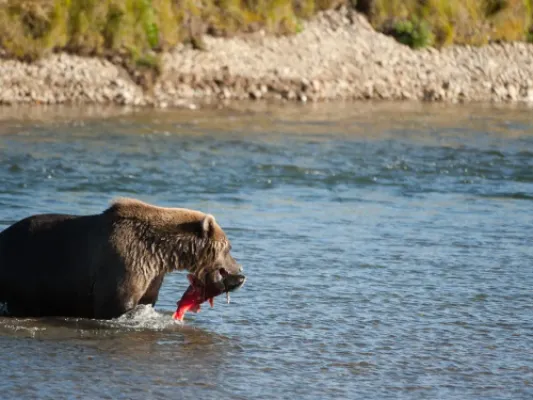 Lake Clark National Park