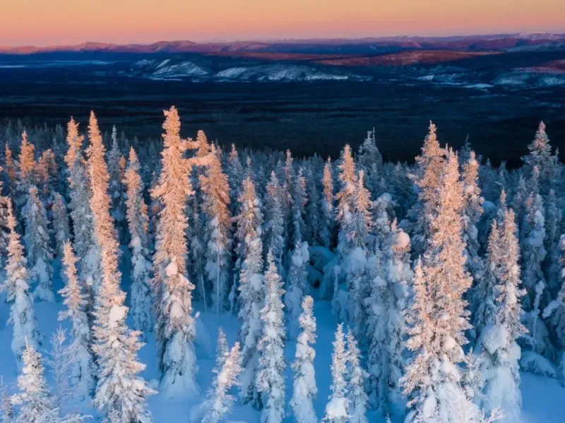 Yukon & Brooks Range Winter Photo Workshop