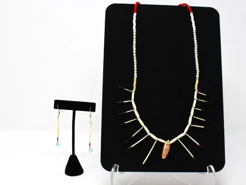 Porcupine Quill Necklace And Earring Set