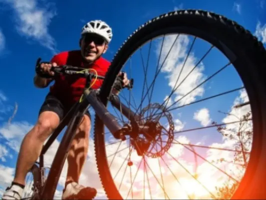 Singletrack Sampler Private Tour