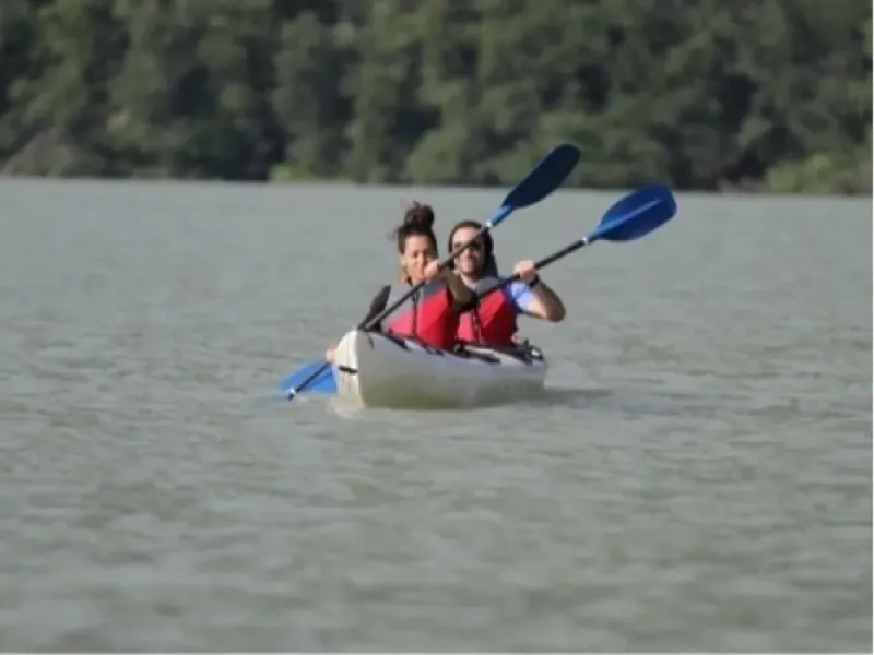 Wilderness Kayak Adventure Tour (Haines Departure)