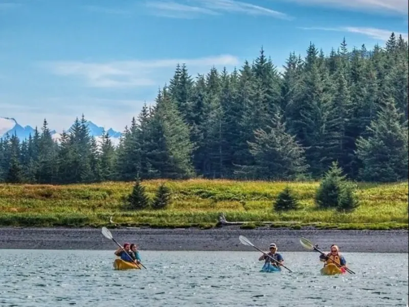 Fjords of the Inside Passage Kayaking Tour from Haines