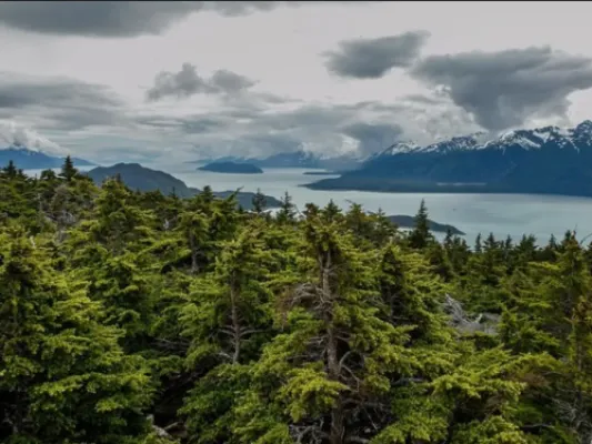 Mount Riley Guided Hiking