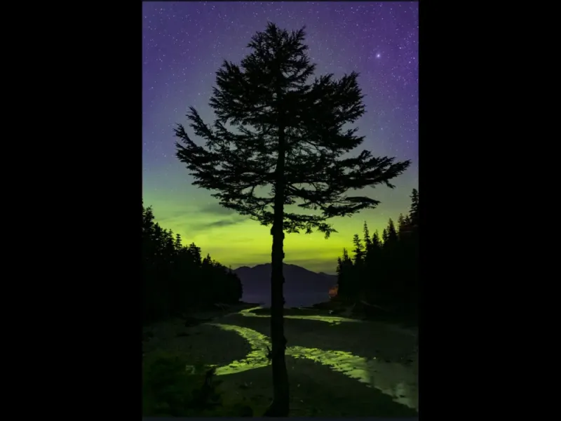 "Solitary" Aurorua Borealis Photography
