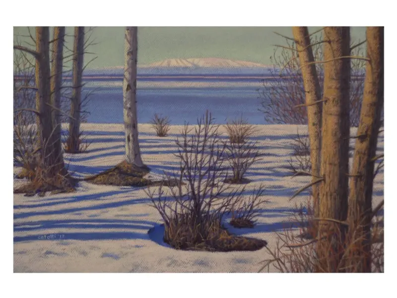Mt. Susitna in March, 13"x19" original pastel