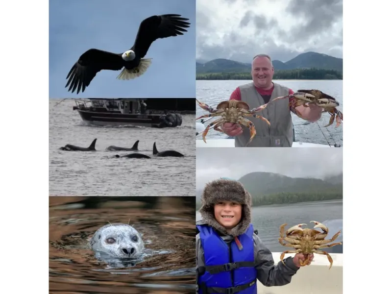 Ketchikan Crabbing, Whales & Wildlife Combo