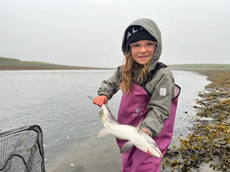 Glacier Bay Bush Plane Fly-in: River Fish / Bear Watch