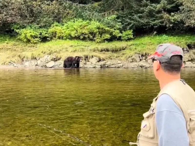 Icy Strait Point Bear Search + Island Adventure