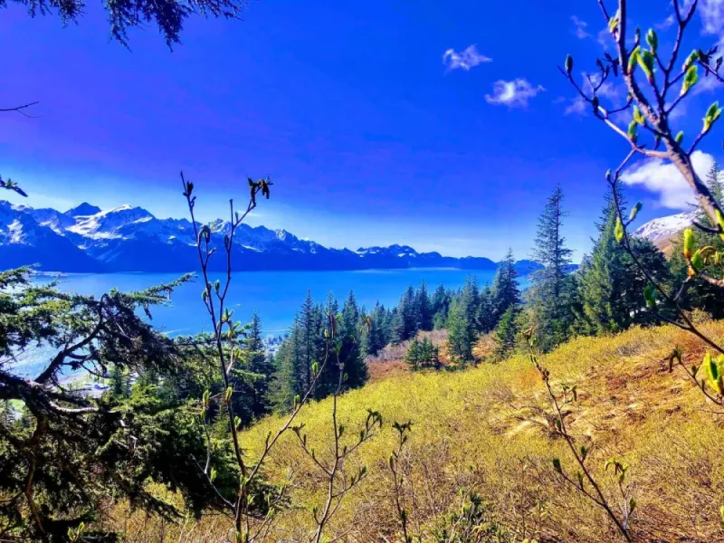 Seward Wilderness Hiking