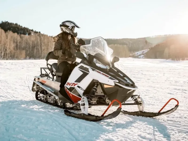Snowmobile & Snowshoe Dual Adventure