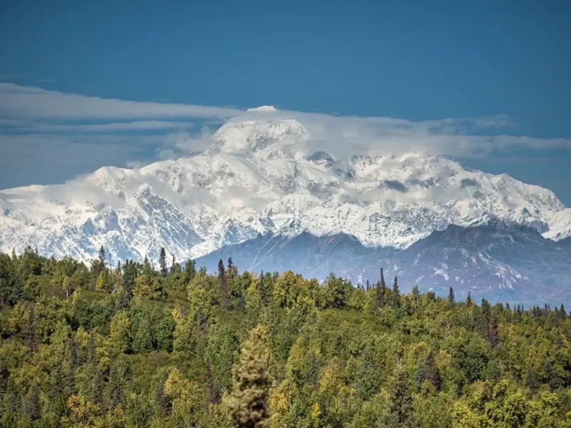 Denali 2 Day Express Luxury Trip with Rail from Anchorage