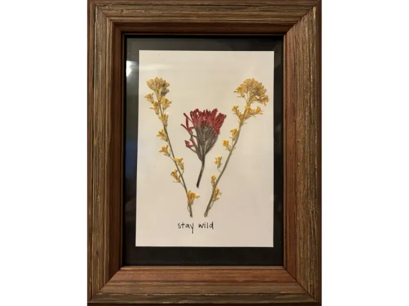Paintbrush 2