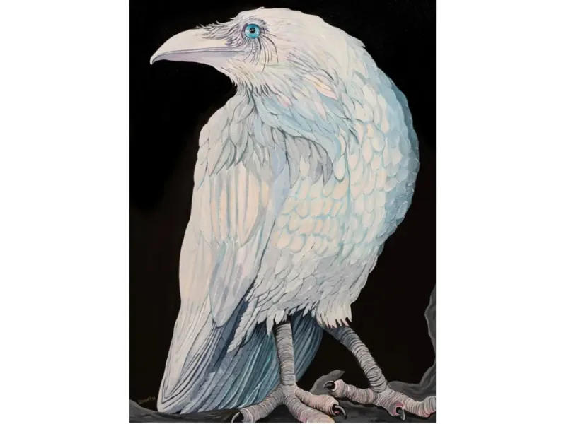 MYSTICAL RAVEN BY KATIE SEVIGNY