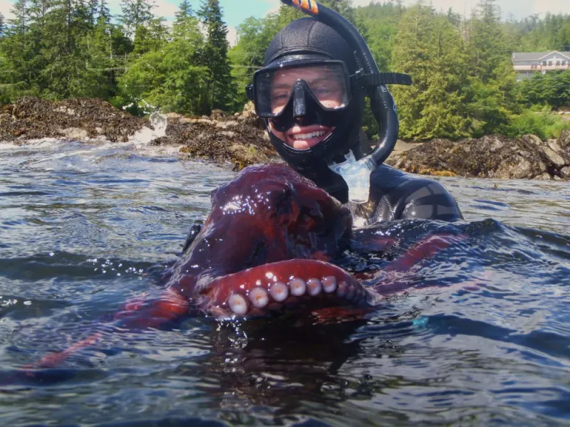 The Mountain Point Snorkeling Adventure