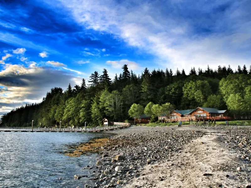 Whale Quest & Orca Point Lodge