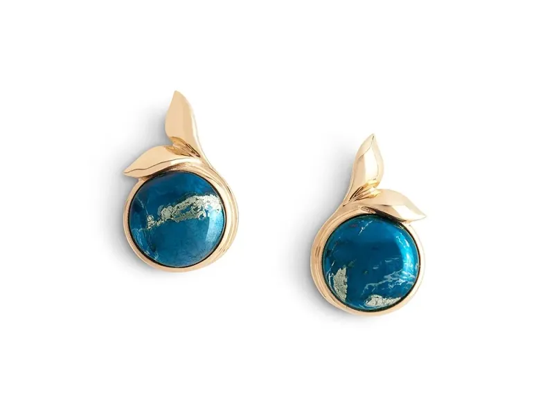 Star of Alaska Covellite Whale Tail Post Earrings