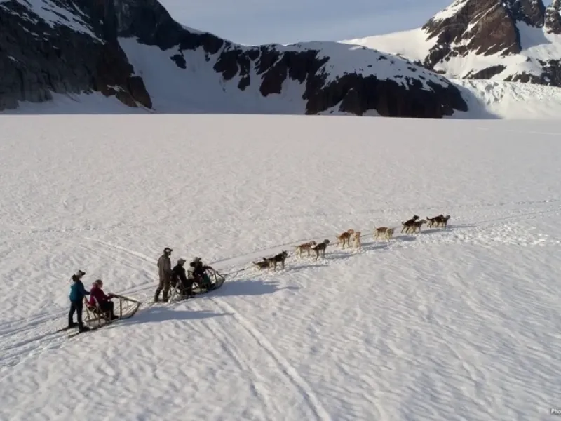 Dog Sled Tour