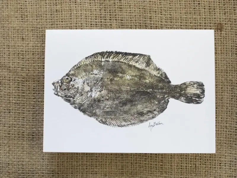 Starry Flounder Card