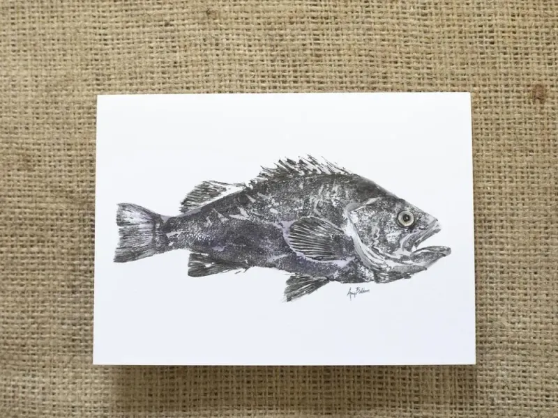 Black Rockfish Card